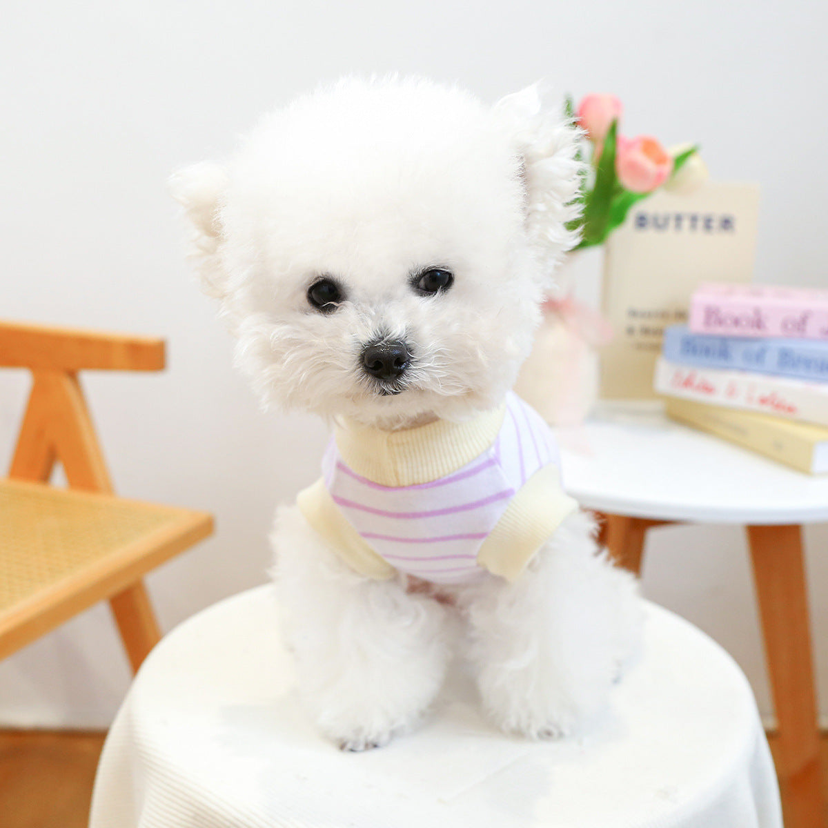 Clothing Traction Vest Pet Dog - Pimmbi