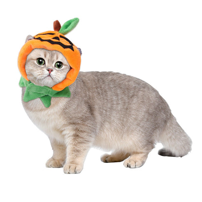 Curly Hair Pet Hat Cat Funny Dress Up Pet Products - Pimmbi