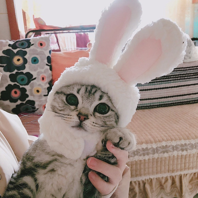Cat headgear funny cute warm decorative hat - Pimmbi
