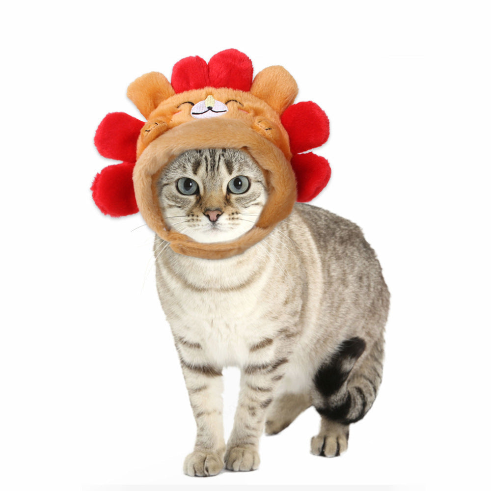 Curly Hair Pet Hat Cat Funny Dress Up Pet Products - Pimmbi