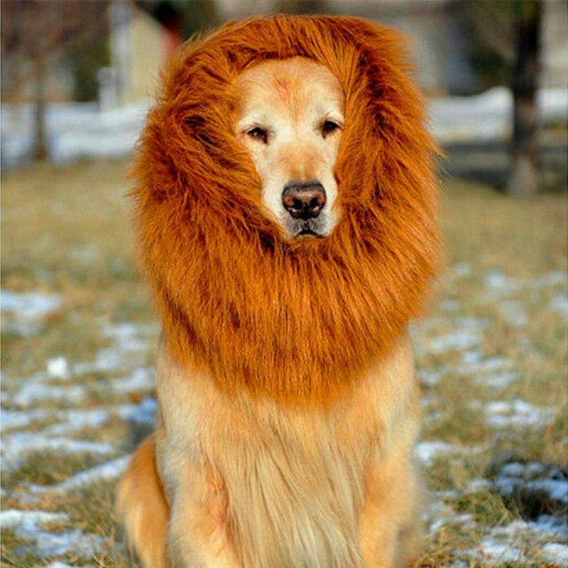 Lion Mane Wig for Large Dogs - Pimmbi