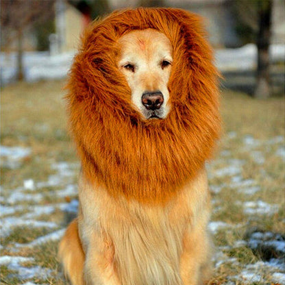 Lion Mane Wig for Large Dogs - Pimmbi
