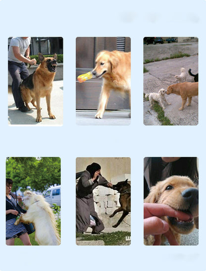 Rechargeable Remote Control Dog Training Device Pet Supplies Rechargeable Bark Stopper - Pimmbi