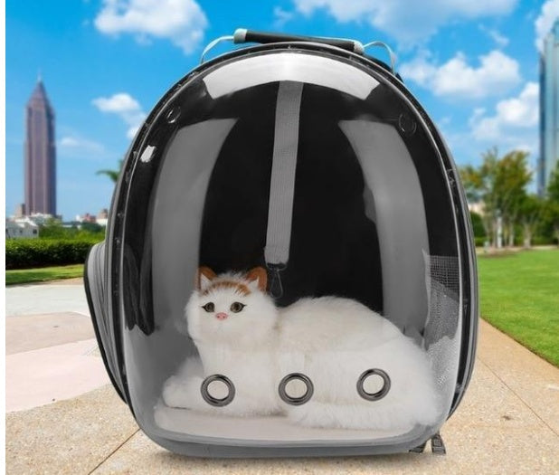 Cat Bag Full Transparent Pet Space Bag - Pimmbi