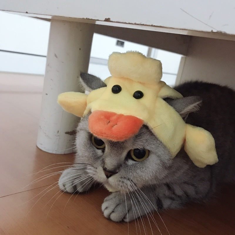 Cat headgear funny cute warm decorative hat - Pimmbi
