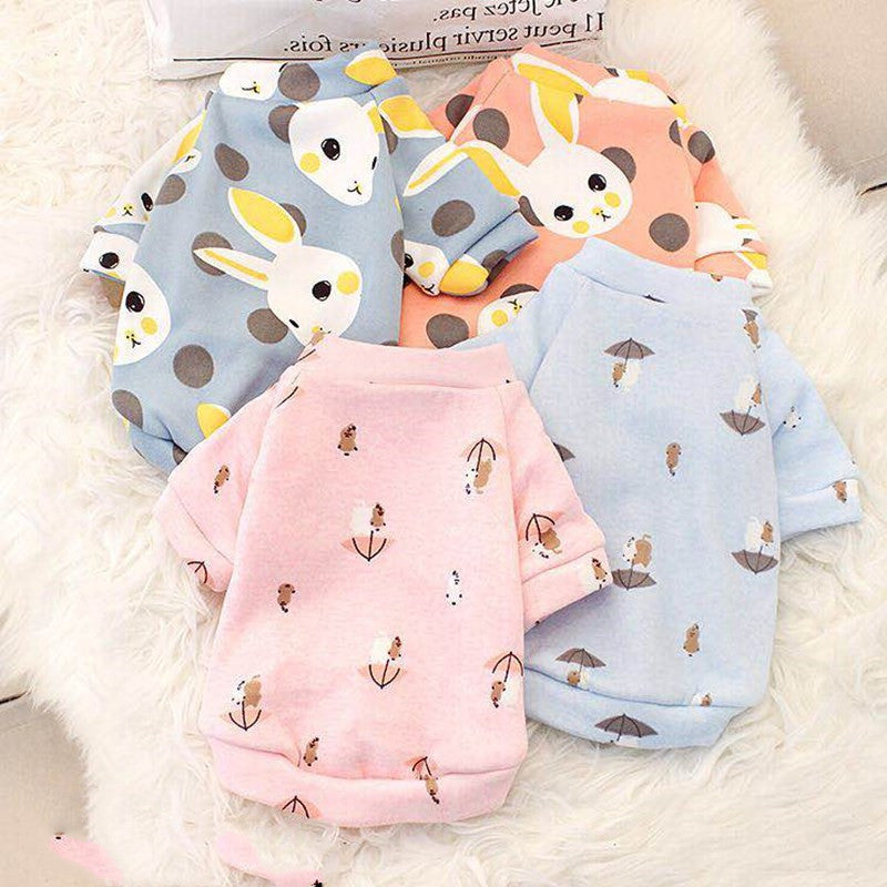 Young autumn and winter small dog pet clothes - Pimmbi