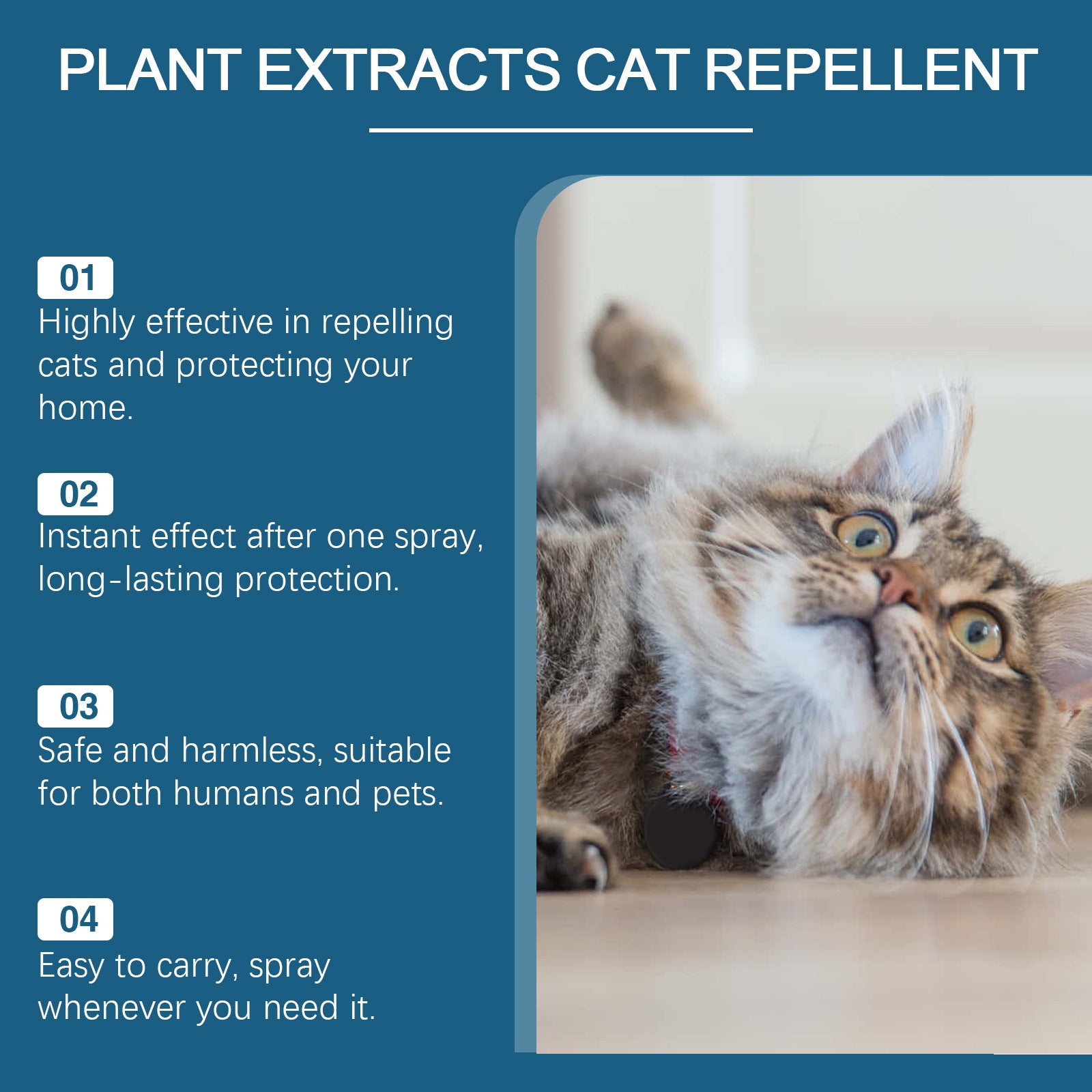 Pet Insect Repellent Prevent Cats From Going To Bed Spray - Pimmbi
