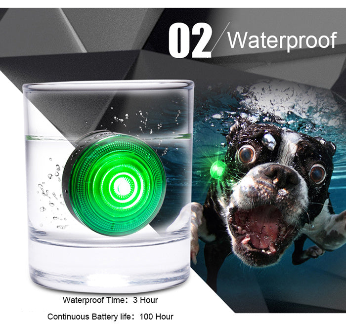 Dog anti-lost night light - Pimmbi