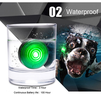 Dog anti-lost night light - Pimmbi