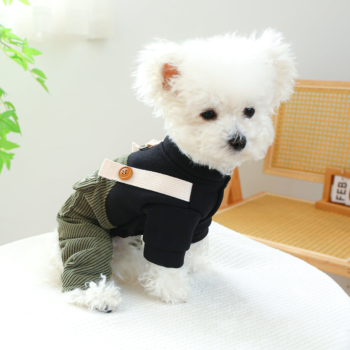 Pet Ring Dog Cat Clothes New Corduroy - Pimmbi