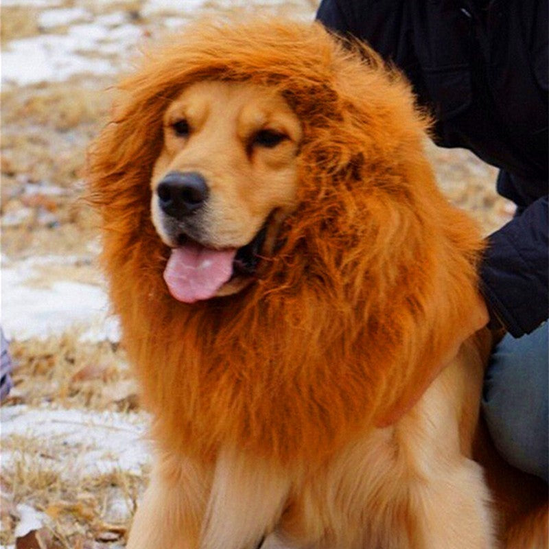Lion Mane Wig for Large Dogs - Pimmbi
