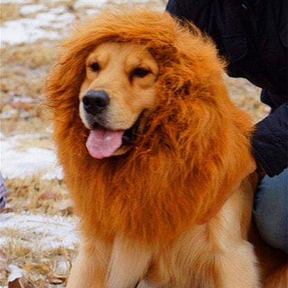 Lion Mane Wig for Large Dogs - Pimmbi