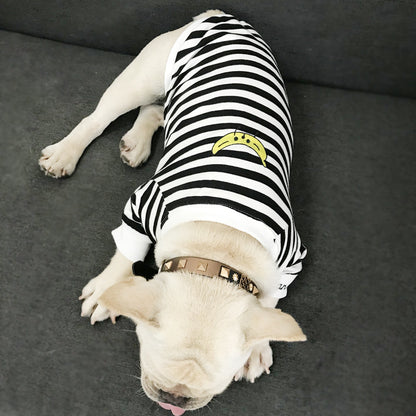 Adult pet striped parent-child outfit - Pimmbi