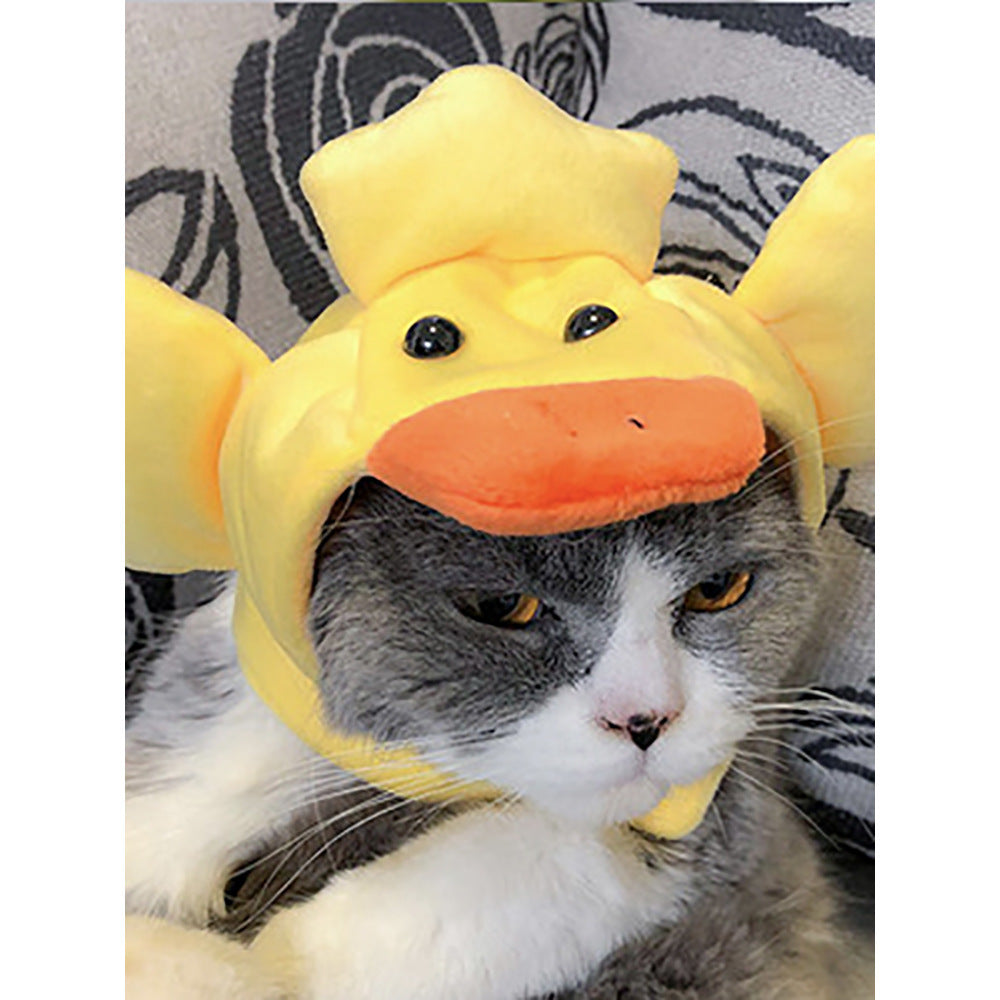 Curly Hair Pet Hat Cat Funny Dress Up Pet Products - Pimmbi