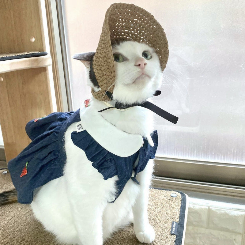 Pet Hat Cat Lace Sun Protection - Pimmbi