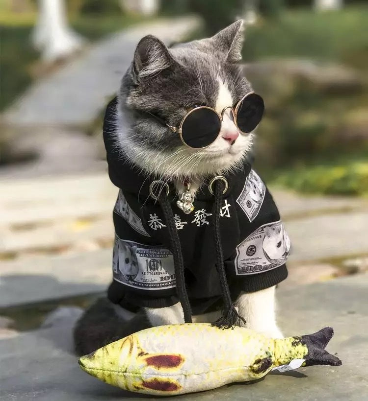 Pet Cat Dog Clothing Pure Cotton Plus Fleece Sweater - Pimmbi