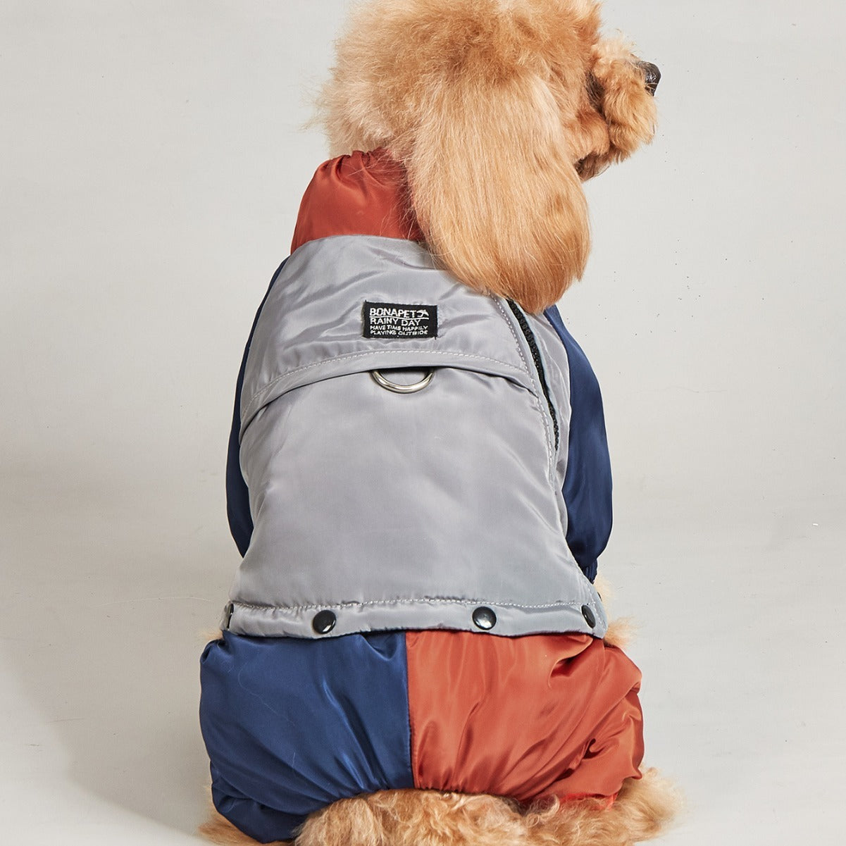 Pet Winter Color Matching Cotton-padded Clothes Dog Medium Large Dog Warm And Comfortable - Pimmbi