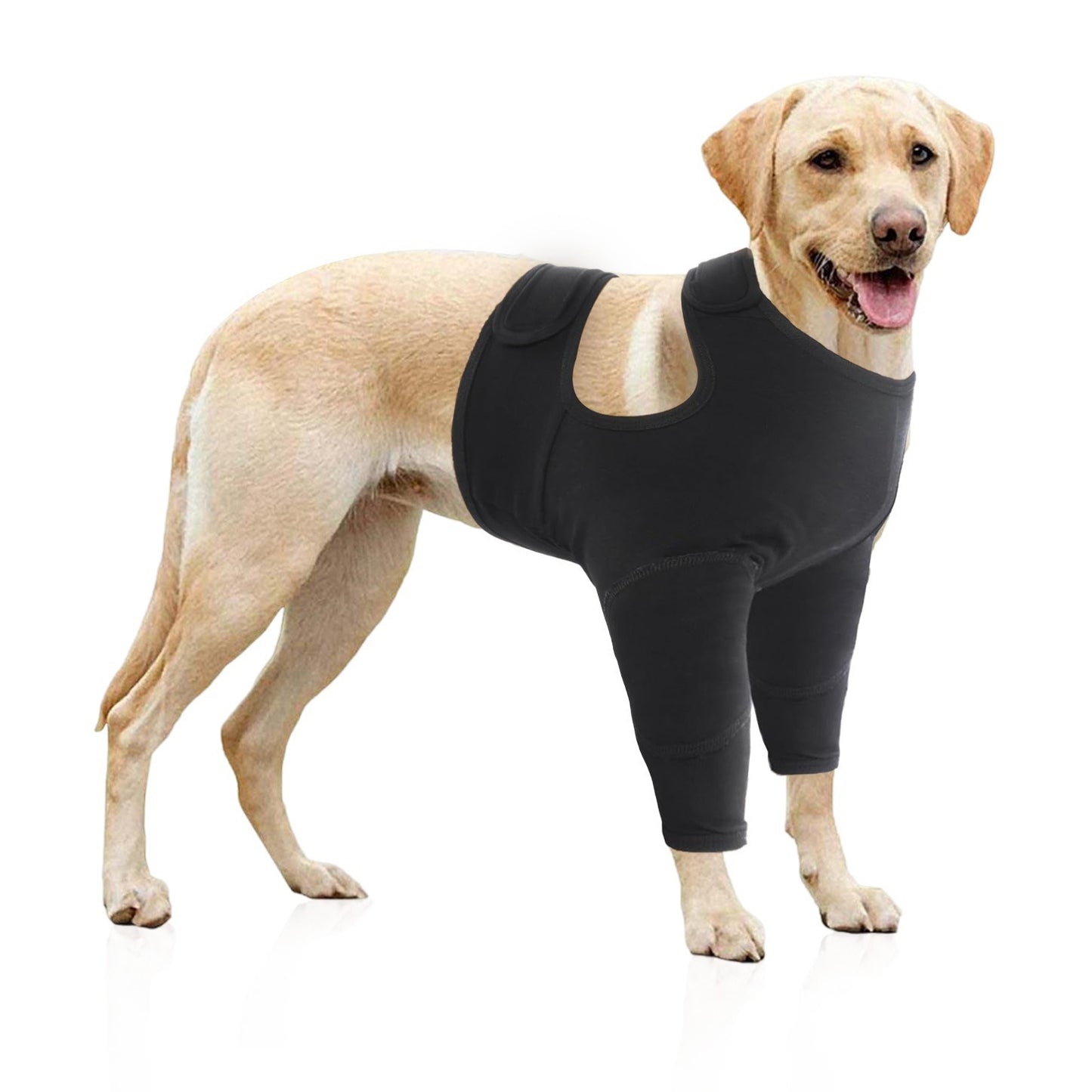 Pet Protective Gear Dog Front Leg Double Protective Gear Protective Cover - Pimmbi