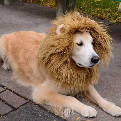 Cute Pet Cosplay Clothes Transfiguration Costume Lion Mane Winter Warm Wig Cat Large Dog Party Decoration With Ear Pet Apparel - Pimmbi