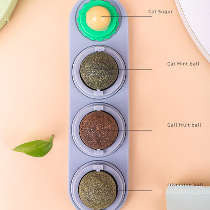 Cat's Molars, Cleaning Teeth, Biting And Digesting Mint Balls