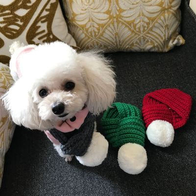 Wool scarf cat and dog accessories pet scarf - Pimmbi