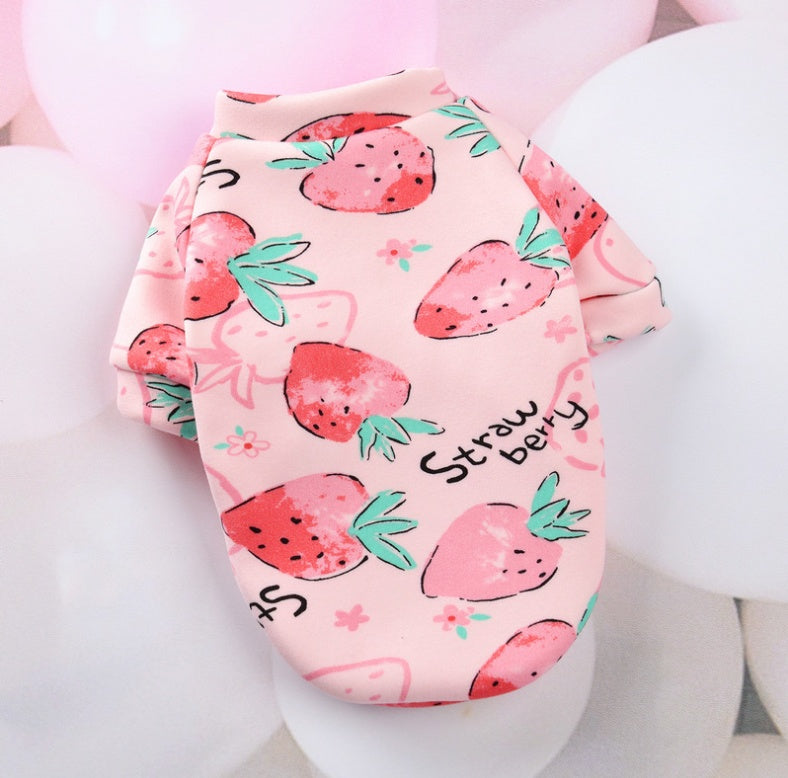 Young autumn and winter small dog pet clothes - Pimmbi