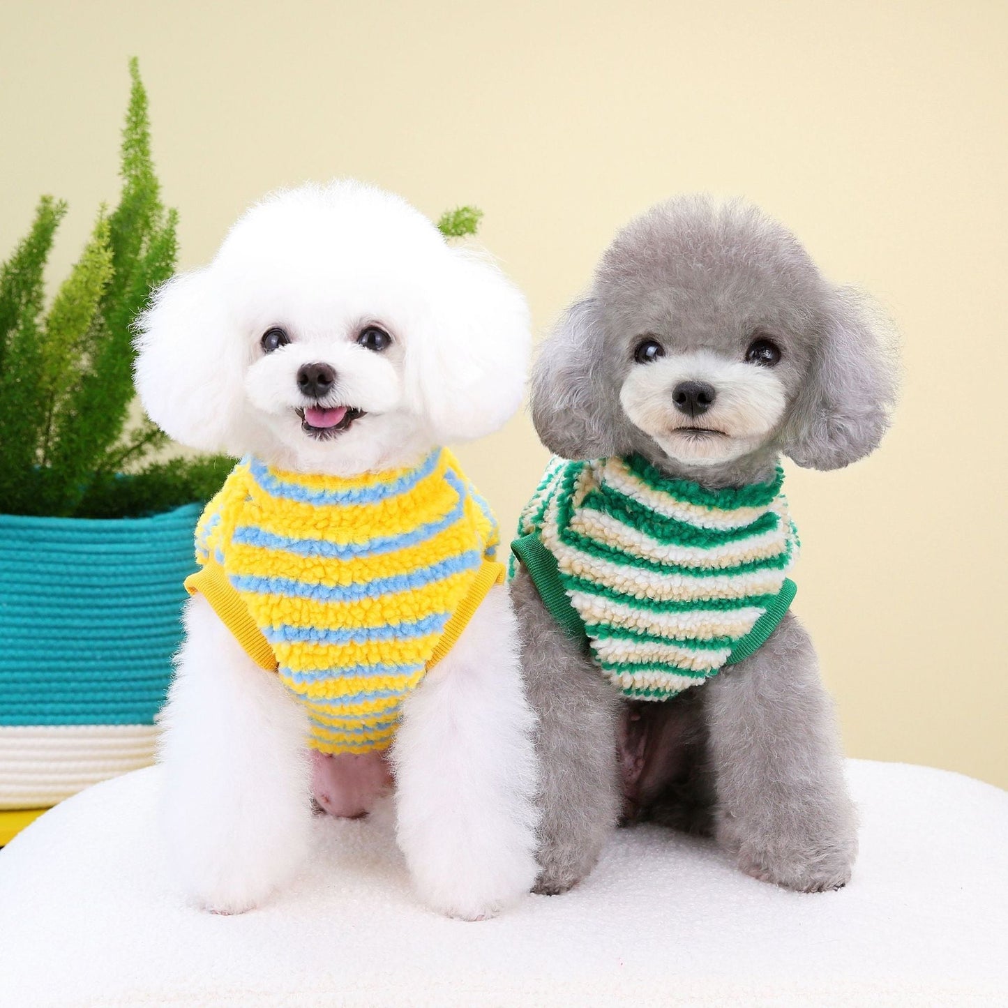 Thickened Striped Bear Pet Top - Pimmbi
