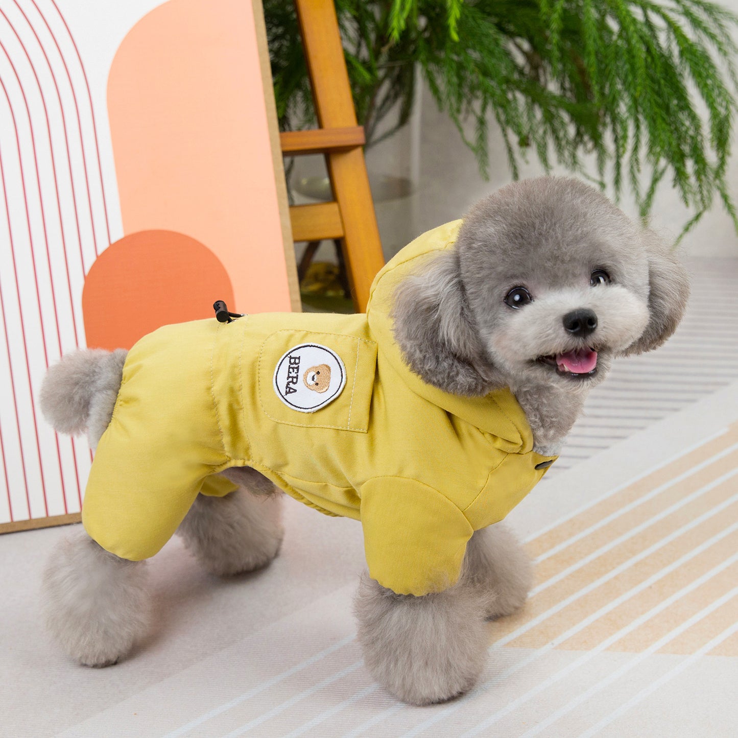 Dog Fashion Autumn And Winter New Clothing - Pimmbi