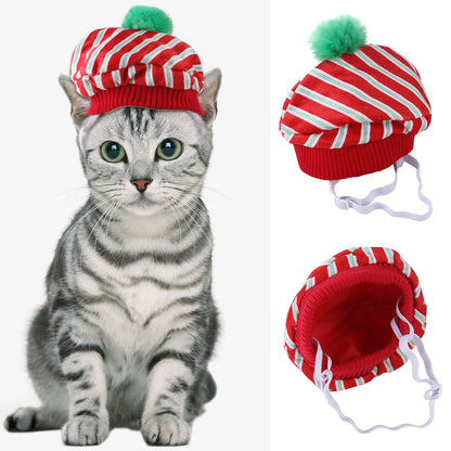 Curly Hair Pet Hat Cat Funny Dress Up Pet Products - Pimmbi