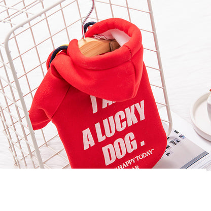 Warm Cat Puppy Clothes Pet Trendy Sweater - Pimmbi