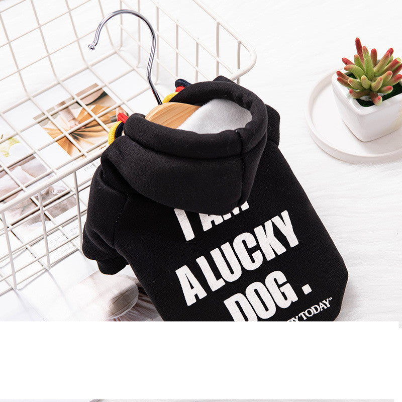 Warm Cat Puppy Clothes Pet Trendy Sweater - Pimmbi