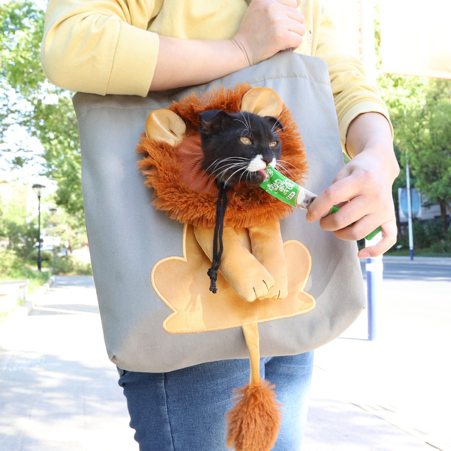 Soft Pet Carriers Lion Design Portable Breathable Bag Cat Dog Carrier Bags Outgoing Travel Pets Handbag With Safety Zippers - Pimmbi