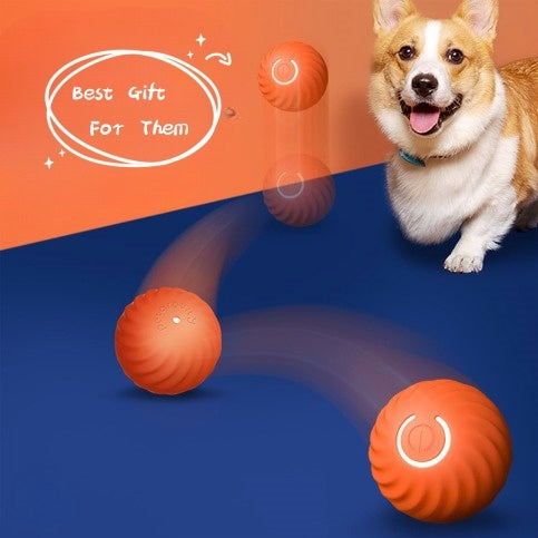 Pet Dog Rubber Ball Toys For Dogs Resistance To Bite Dog Chew Toys Puppy Pets Dogs Training Products - Pimmbi