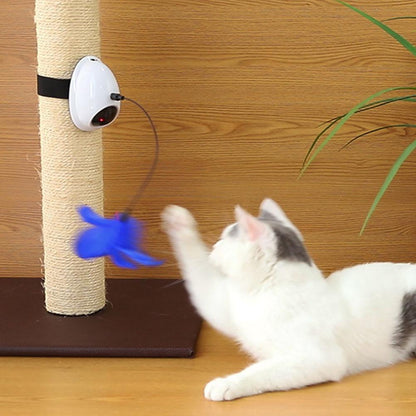 Electric funny cat toy