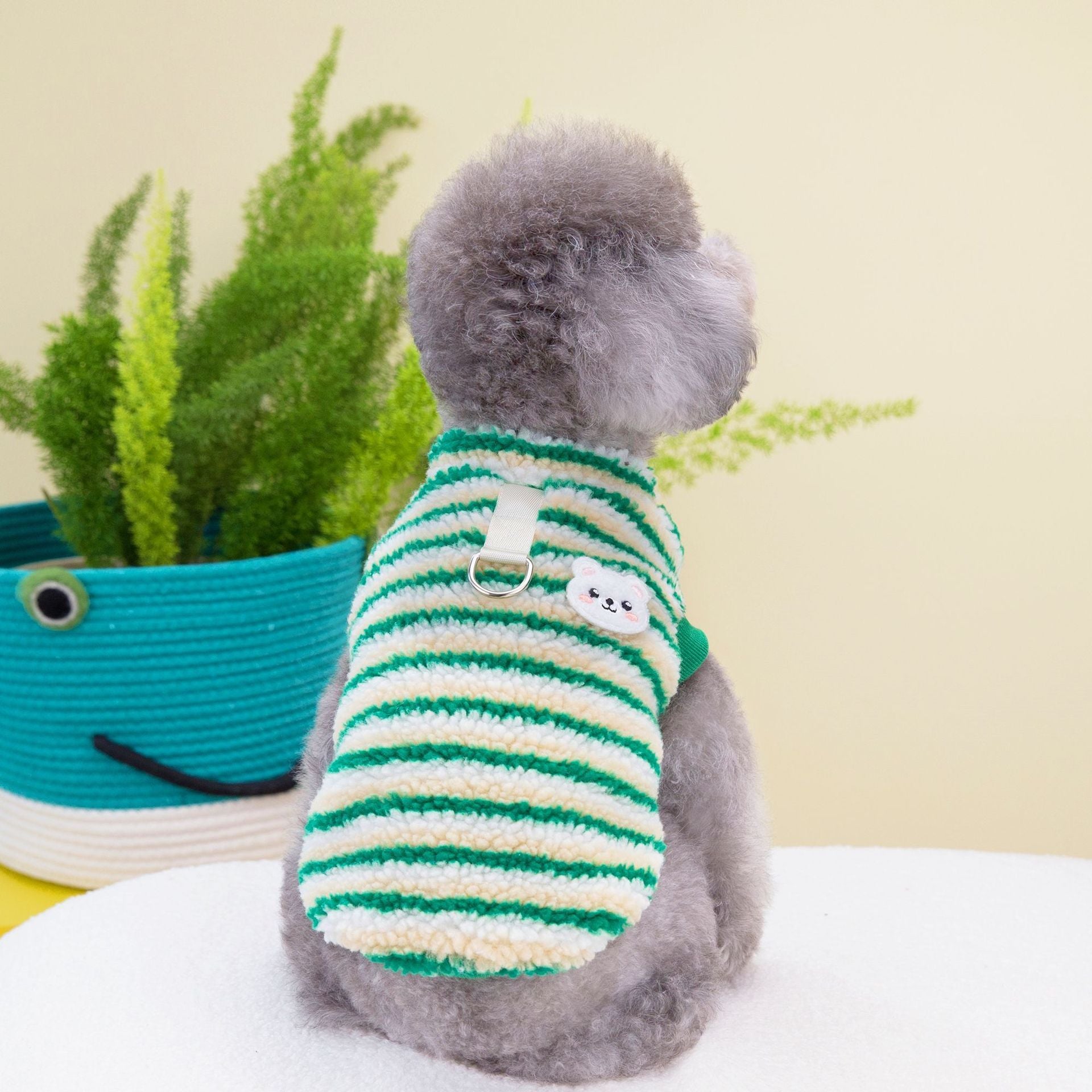 Thickened Striped Bear Pet Top - Pimmbi