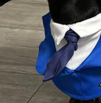 Dachshund Dog Funny Clothes Halloween Suit - Pimmbi