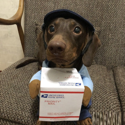 Dog Express Pet Costume Small Dog Halloween Clothing - Pimmbi