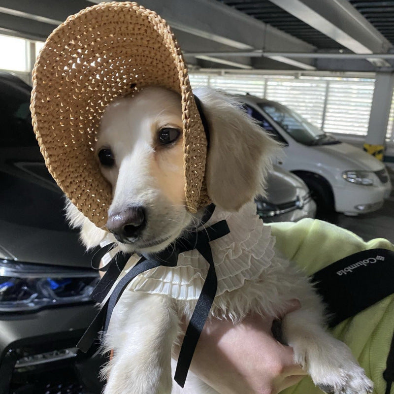 Pet Hat Cat Lace Sun Protection - Pimmbi