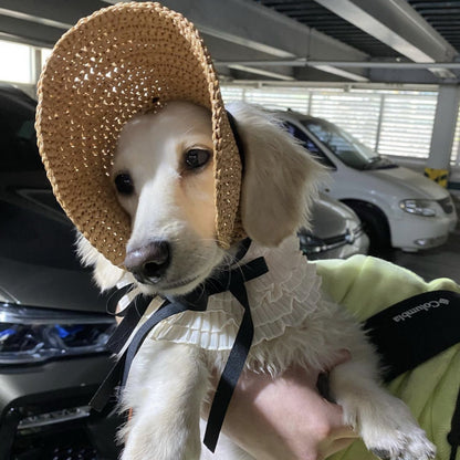 Pet Hat Cat Lace Sun Protection - Pimmbi