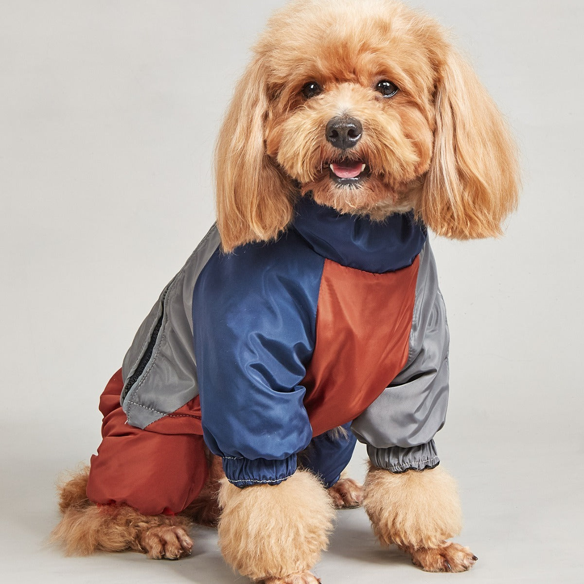 Pet Winter Color Matching Cotton-padded Clothes Dog Medium Large Dog Warm And Comfortable - Pimmbi