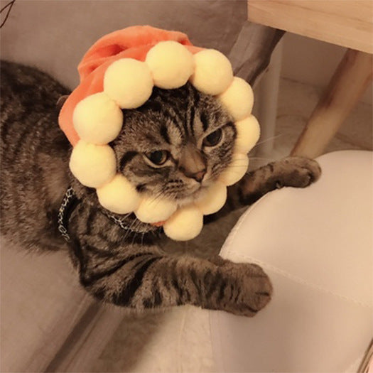 Curly Hair Pet Hat Cat Funny Dress Up Pet Products - Pimmbi
