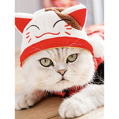 Curly Hair Pet Hat Cat Funny Dress Up Pet Products - Pimmbi