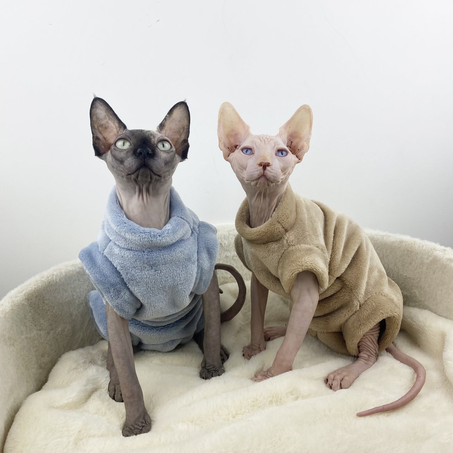 Sphinx Hairless Cat Flannel Thermal Four-legged Jacket - Pimmbi