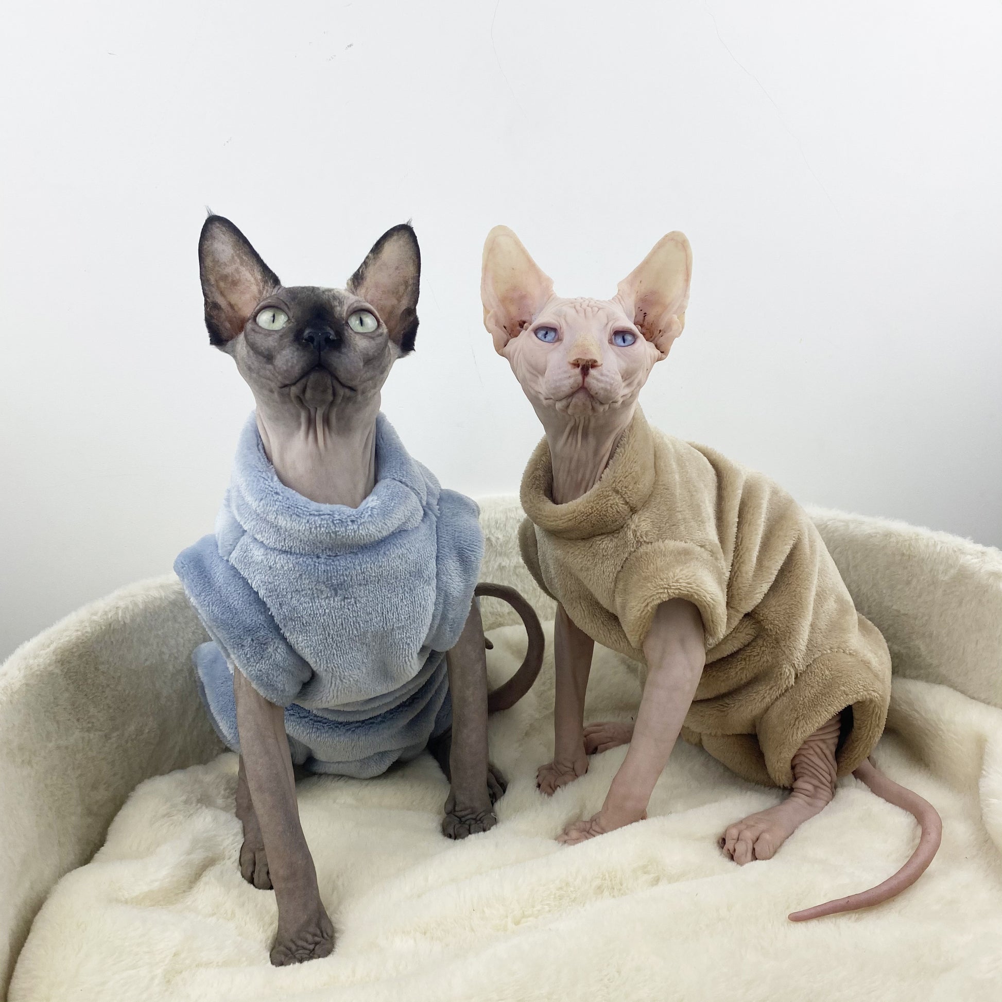 Sphinx Hairless Cat Flannel Thermal Four-legged Jacket - Pimmbi