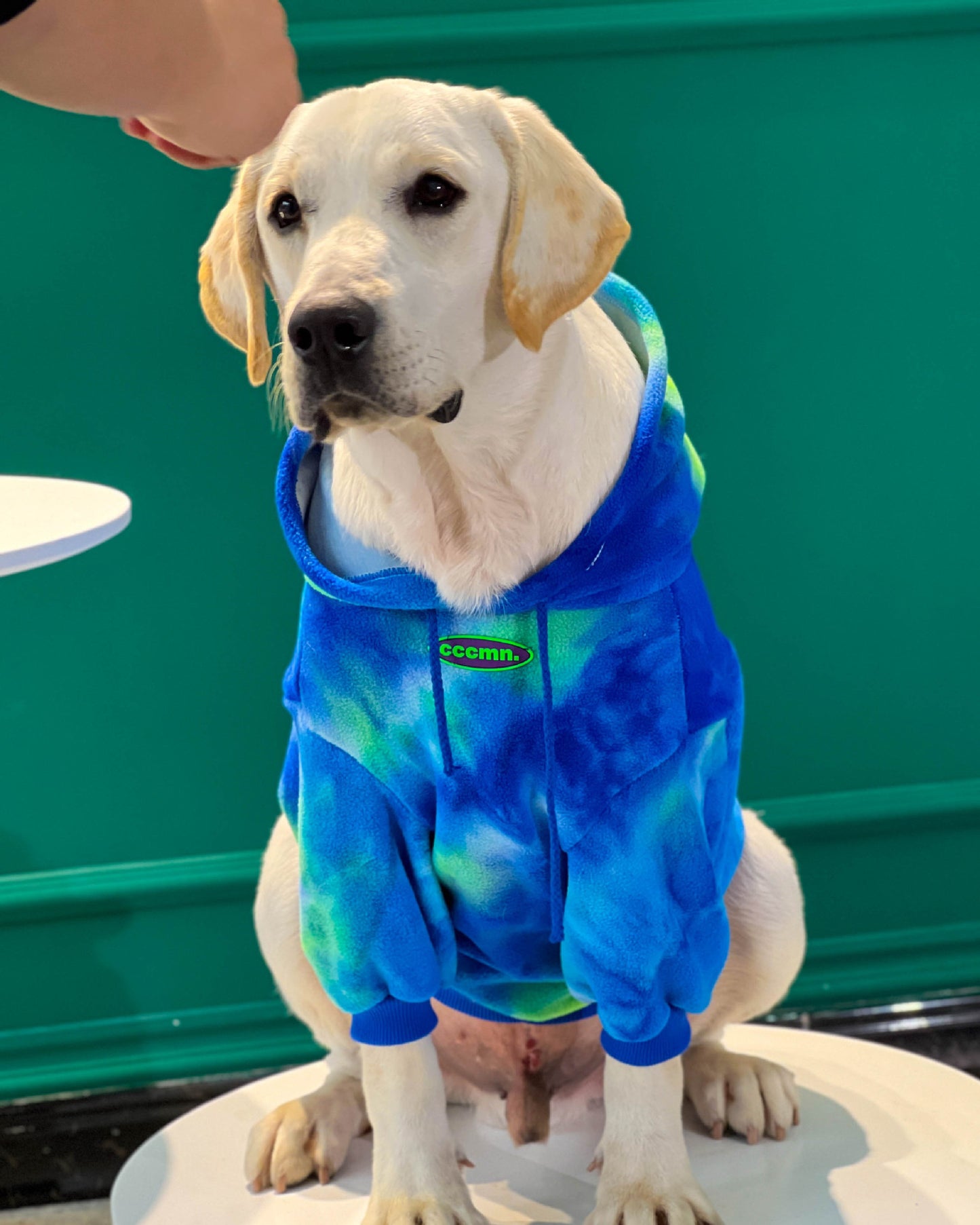 Pet Dog Tide Brand Warm And Thickened Tie Dyed Sweatshirt - Pimmbi