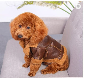 Punk Leather Sweater Dog Autumn And Winter Clothes - Pimmbi