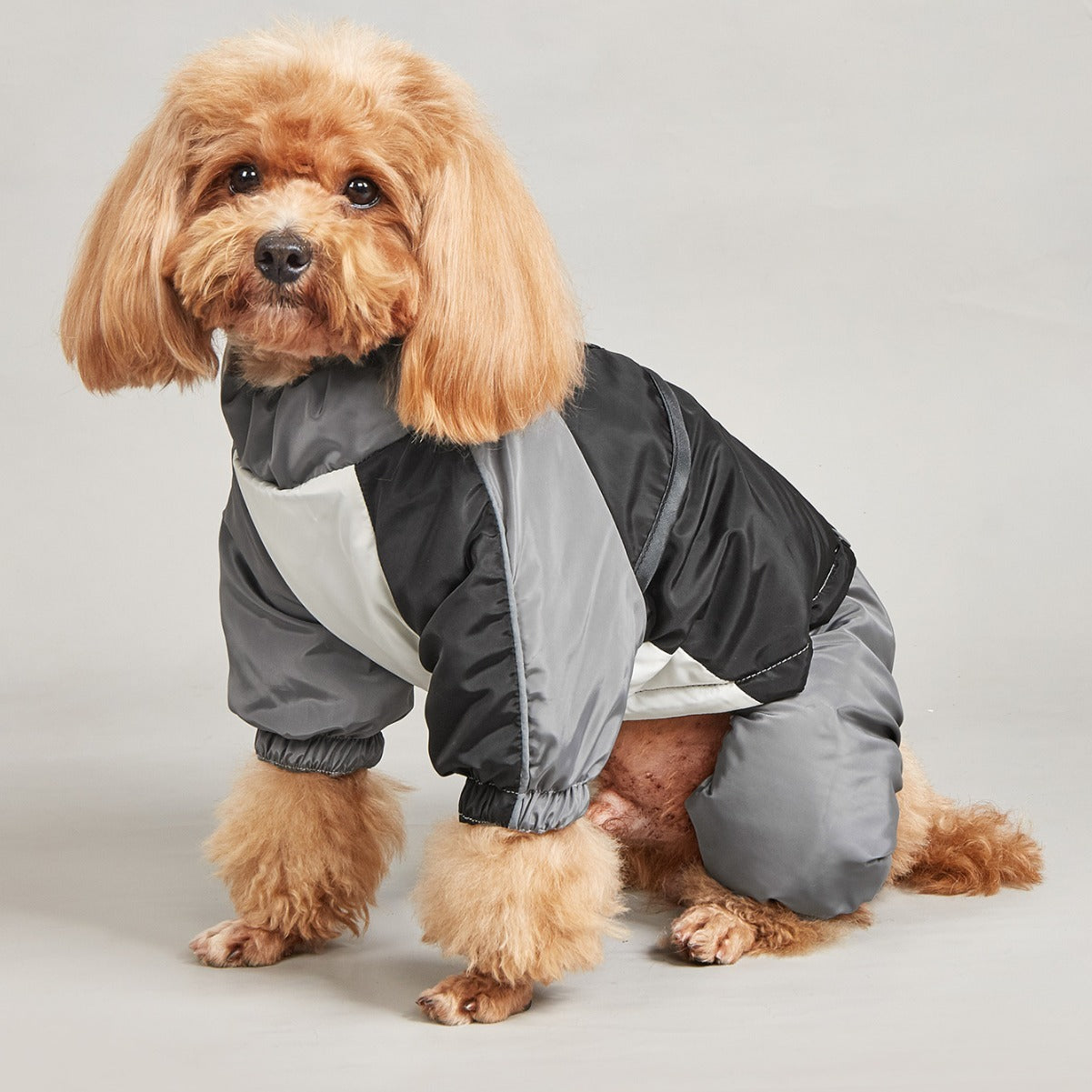 Pet Winter Color Matching Cotton-padded Clothes Dog Medium Large Dog Warm And Comfortable - Pimmbi