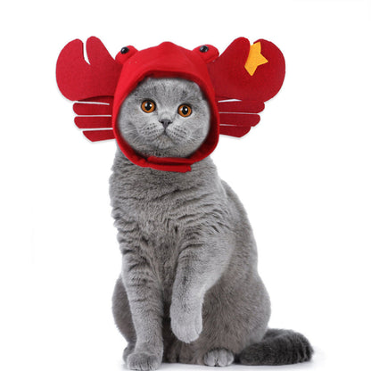 Curly Hair Pet Hat Cat Funny Dress Up Pet Products - Pimmbi