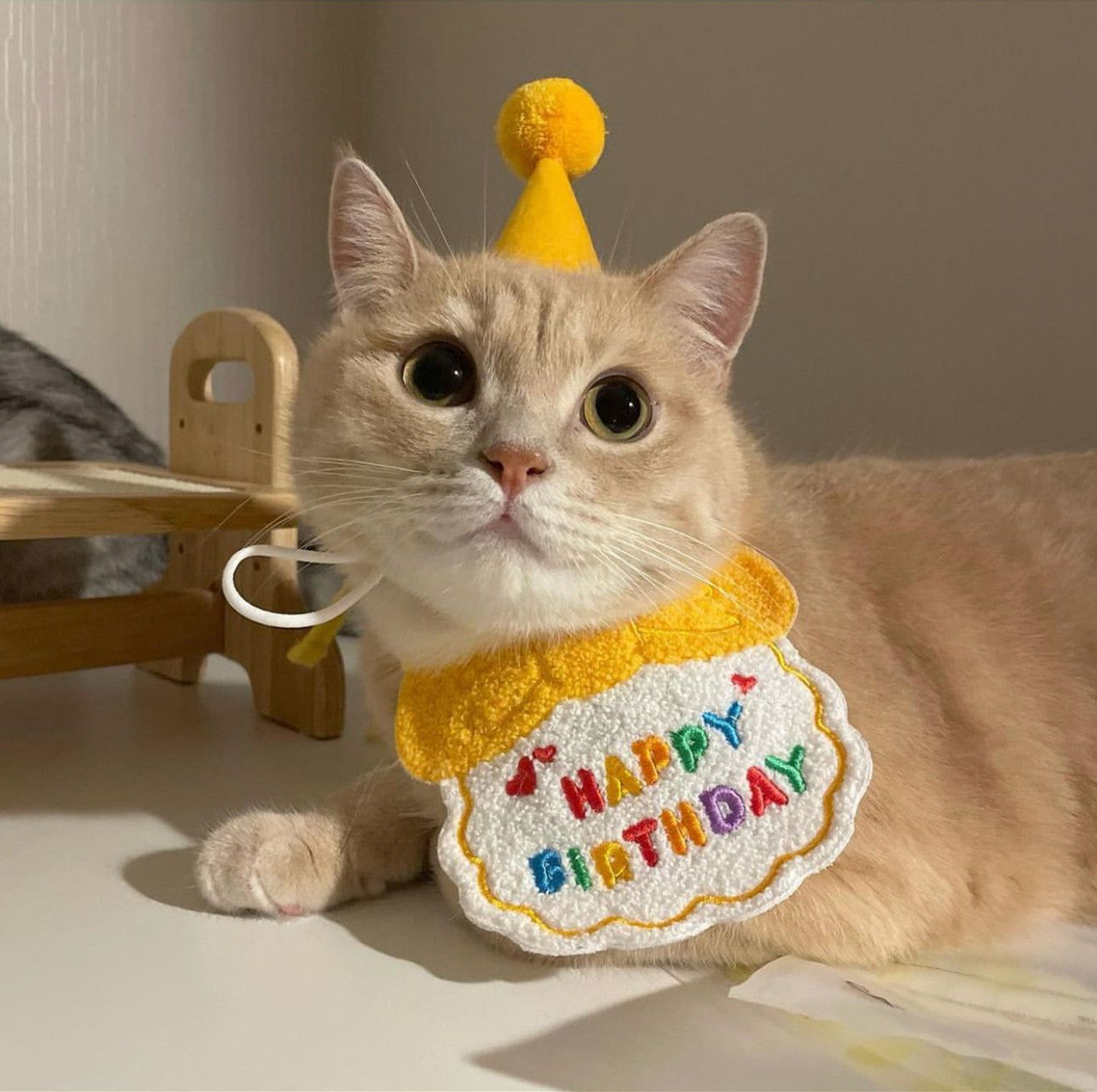 Pet Dog Fashion Special Decoration Bib Hat - Pimmbi