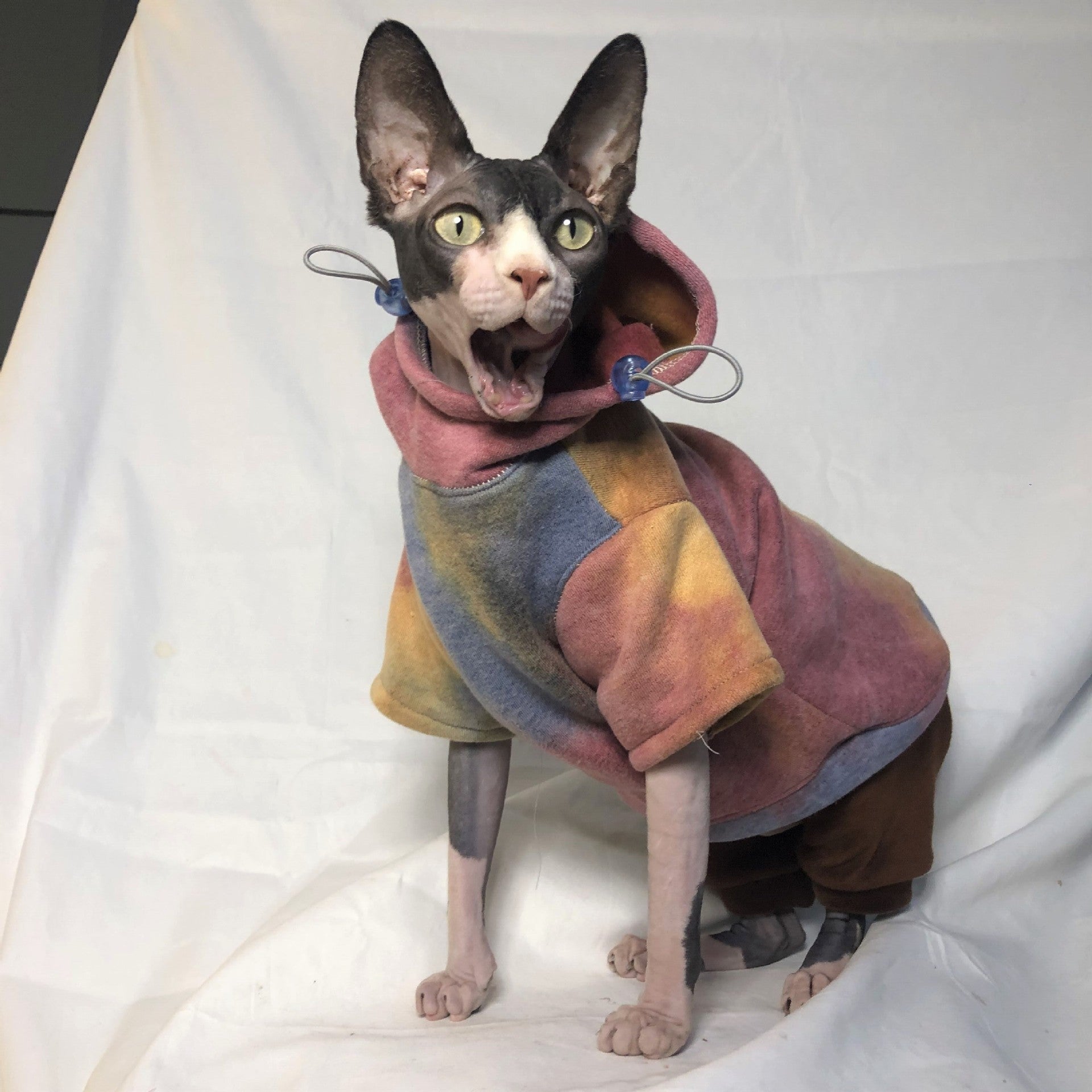 Pet Cats And Dogs Plus Velvet Warmth And Thick Tie-dye Hooded Sweater In Autumn And Winter - Pimmbi